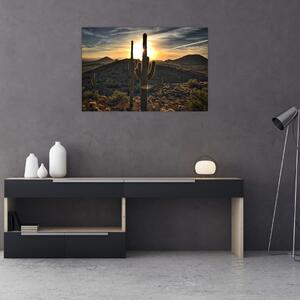 Kép - kaktuszok a napon (90x60 cm)