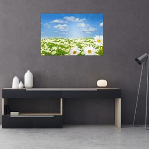 A virágzó rét százszorszépekkel képe (90x60 cm)