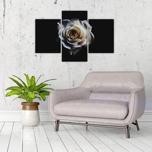 Fehér rózsa képe (90x60 cm)