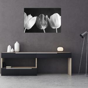 Kép - fekete-fehér tulipán virág (90x60 cm)