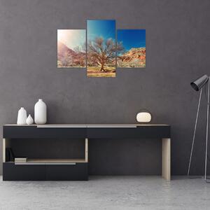 Fa a sivatagban képe (90x60 cm)