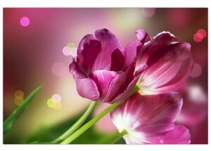 Rózsaszín tulipánok képe (90x60 cm)