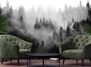 Fotótapéta - Erdő a ködben (152,5x104 cm)