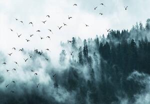 Fotótapéta - Madarak a ködben (152,5x104 cm)