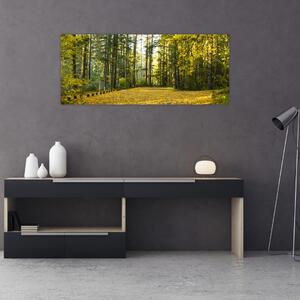 Kép - erdő ősszel (120x50 cm)