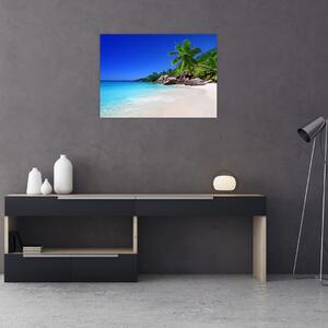 Kép a strandról a Praslin szigeten (70x50 cm)