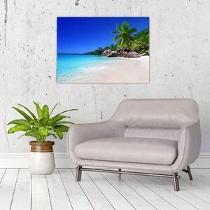 Kép a strandról a Praslin szigeten (70x50 cm)