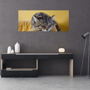 Macska a kanapén képe (120x50 cm)