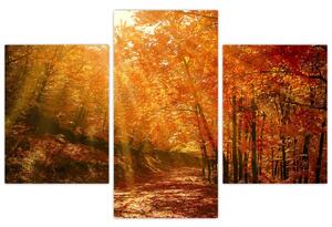 Őszi erdő képe (90x60 cm)