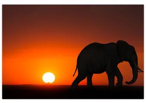 Elefánt képe naplementekor (90x60 cm)