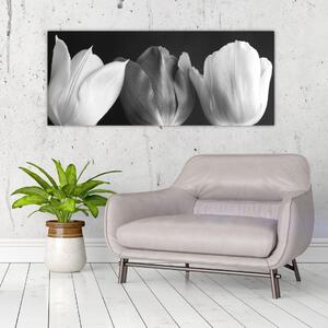 Kép - fekete-fehér tulipán virág (120x50 cm)