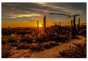 Kép - A nap vége az arizonai sivatagban (90x60 cm)