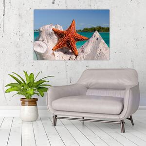 Egy tengeri csillag képe (90x60 cm)