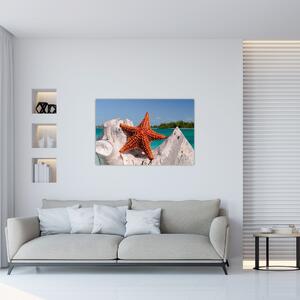 Egy tengeri csillag képe (90x60 cm)