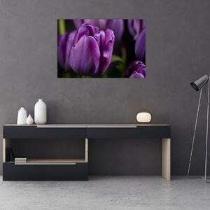 Tulipán vírág képe (90x60 cm)
