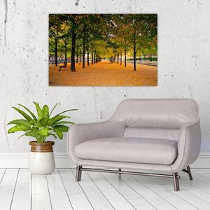 Egy kép az őszi fák sikátorából (90x60 cm)
