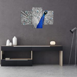 Kék páva képe (90x60 cm)