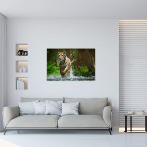Futó tigris képe (90x60 cm)