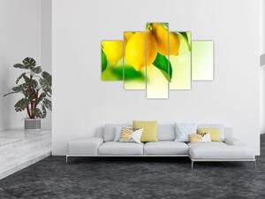 A citrom képe (150x105 cm)