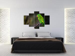 Papagáj egy ágon képe (150x105 cm)