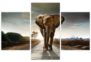 Elefánt képe (90x60 cm)
