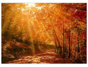 Őszi erdő képe (70x50 cm)