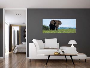 Egy elefánt képe (120x50 cm)