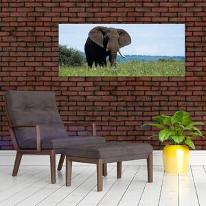Egy elefánt képe (120x50 cm)