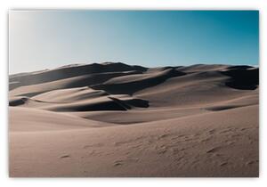 Kép - A sivatagból (90x60 cm)