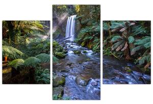 Ausztrál esőerdő képe (90x60 cm)