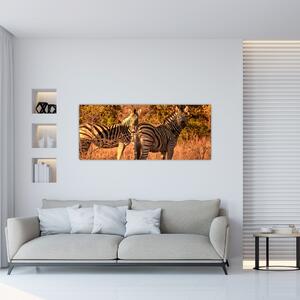 Zebrák képe (120x50 cm)