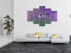 Kép - Pillangó a levendulán (150x105 cm)