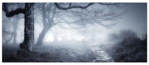 Kép - Út a ködben (120x50 cm)