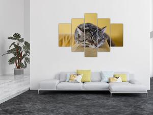 Macska a kanapén képe (150x105 cm)