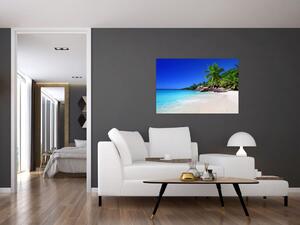 Kép a strandról a Praslin szigeten (90x60 cm)
