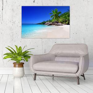 Kép a strandról a Praslin szigeten (90x60 cm)