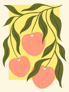 Illusztráció Peaches, Melissa Donne