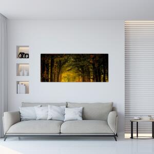 Erdő képe (120x50 cm)