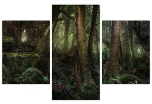 Kép - Titokzatos erdő (90x60 cm)
