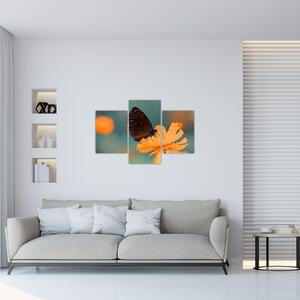 Kép - pillangó narancssárga virágon (90x60 cm)