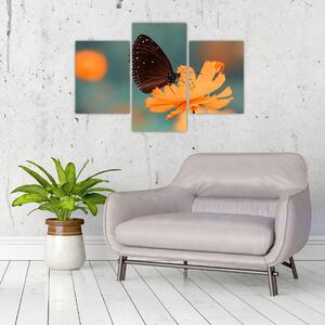 Kép - pillangó narancssárga virágon (90x60 cm)