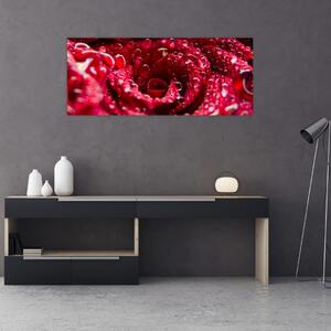Vörös rózsa virágzata képe (120x50 cm)