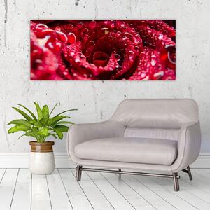 Vörös rózsa virágzata képe (120x50 cm)