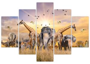 Kép - Afrikai állatok (150x105 cm)