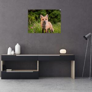 Egy róka képe (70x50 cm)