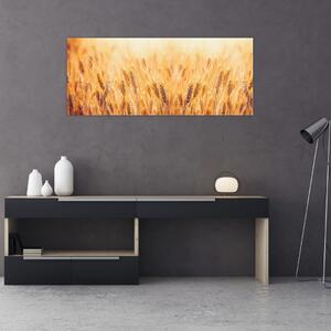 Kép - mező gabonával (120x50 cm)