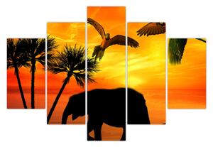 Kép - papagájok és elefántok (150x105 cm)
