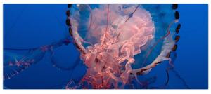 Medúza képe (120x50 cm)