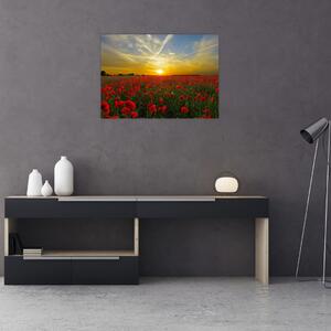Egy kép a pipacs mezőről (70x50 cm)