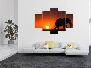 Elefánt képe naplementekor (150x105 cm)